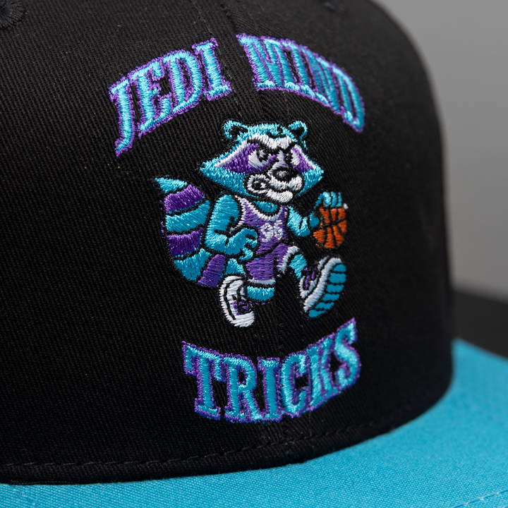 Jedi Mind Tricks - 1991 LJ - Snapback